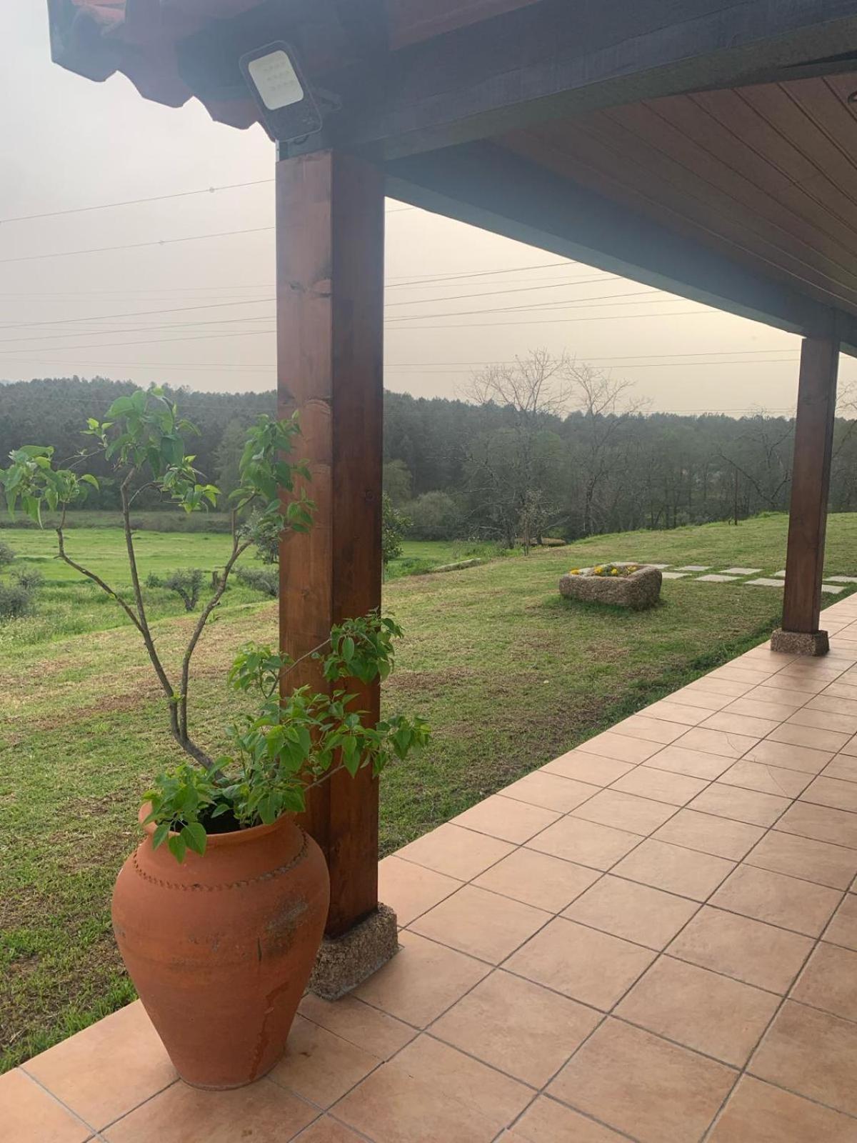 Quinta Dos Cedros L Turismo Rural Ковілян Екстер'єр фото